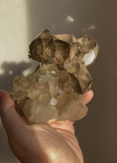 Alpine Smoky Quartz with Green Chlorite ! Wow