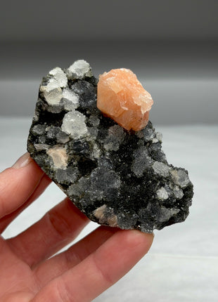 Druzy Black Chalcedony with Pink Stilbite Flower