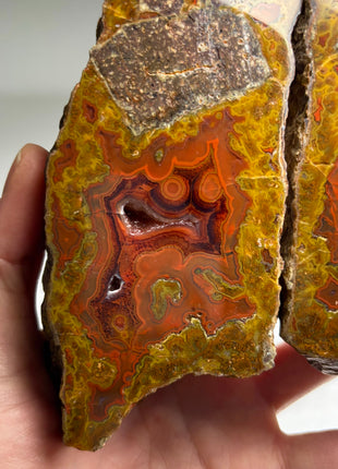 Coolest ! Black Sea Agate Pair