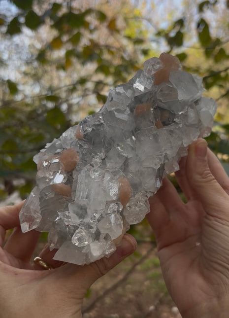 Brilliant Apophyllite with Pink Stilbite