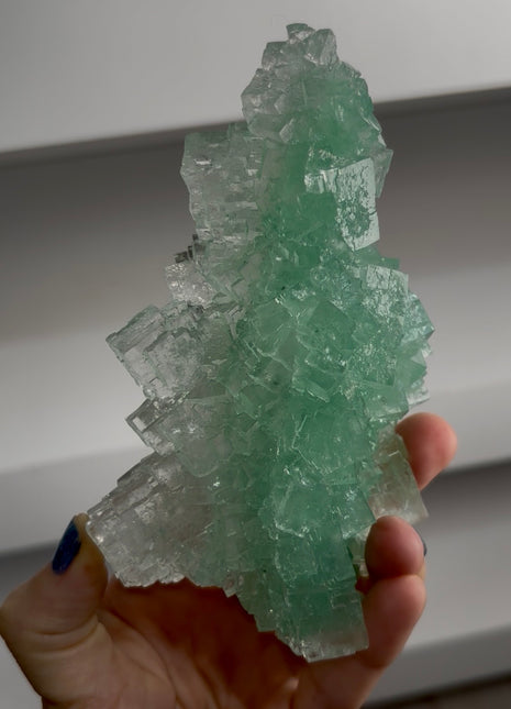 Finest ! Green Halite PM1511