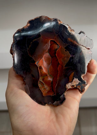 Red Fox Agate Geode from Argentina