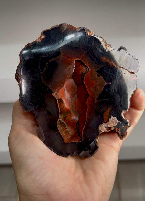 Red Fox Agate Geode from Argentina
