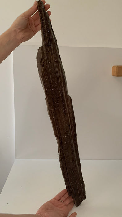 Stunning and Rare Permineralized Fossil Wood with Quartz - 67 cm !! From Germany 🔥🔥