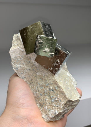 New ! Cubic Pyrite on Matrix from Navajun, Spain 10