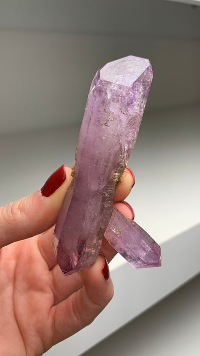 New Arrival ! DT Amethyst - From Veracruz, Mexico