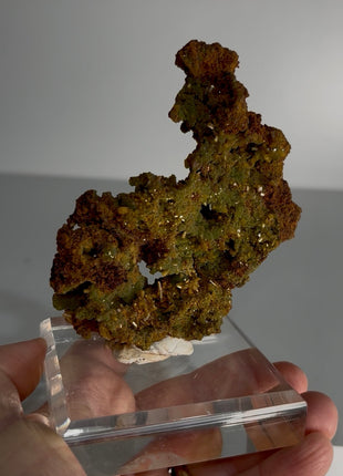Wulfenite with Mimetite Specimen