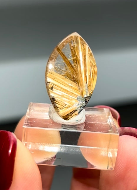 Star Rutile Quartz !