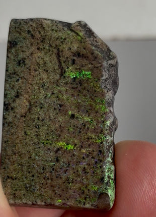 Australian Andamooka Fire Opal PM1144 🌈