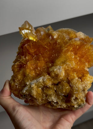 Golden Honey Selenite Flower from Peru