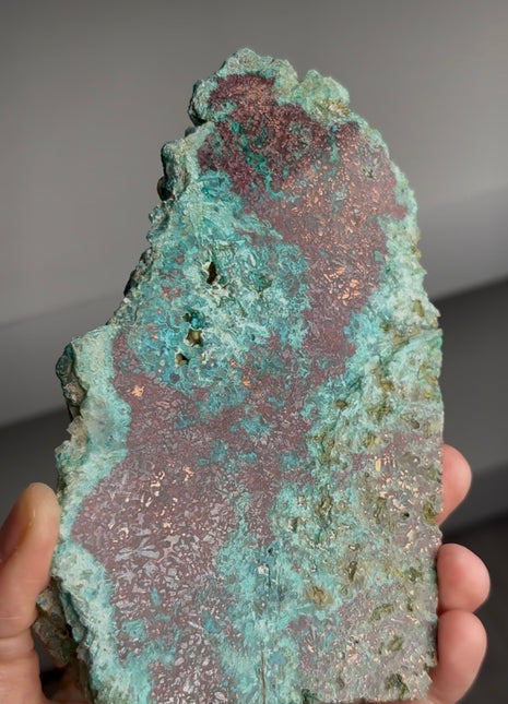 Blue Chrysocolla with Native Copper PM0563