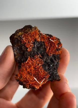 Red Crocoite Specimen PM0458