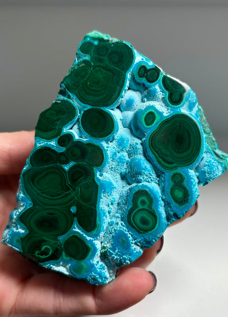 Top ! Blue Chrysocolla with Green Malachite Stalactite