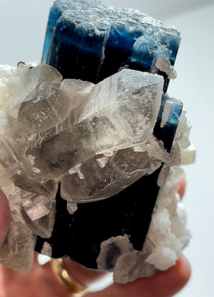 Blue Cap Tourmaline with Quartz and Tantalite PM1645