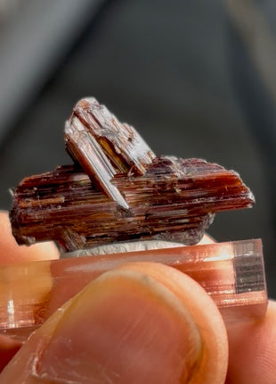 Red Rutile from Diamantina mine, 1990s find PM0853