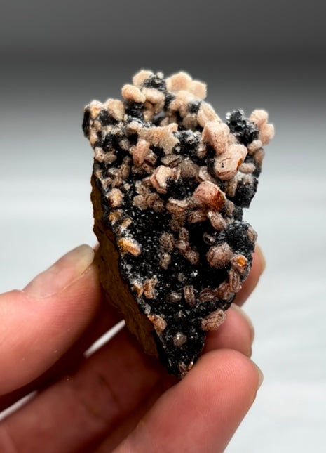 Sugary Vanadinite with Black Goethite