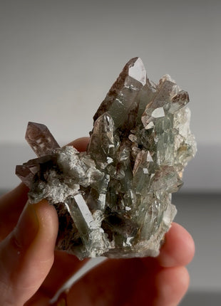 Green and Red Phantom Quartz PM0779