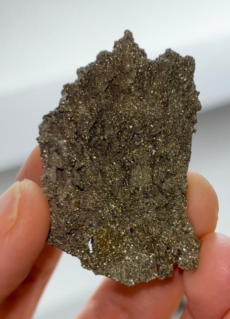 Rare ! Pyritized Petrified Wood PM0693