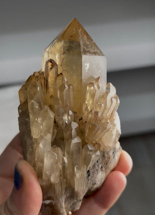 6 Pieces ! Kundalini Citrine Lot from Congo