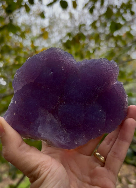 Velvety Amethyst from Nyiri Hungary Collection # 628