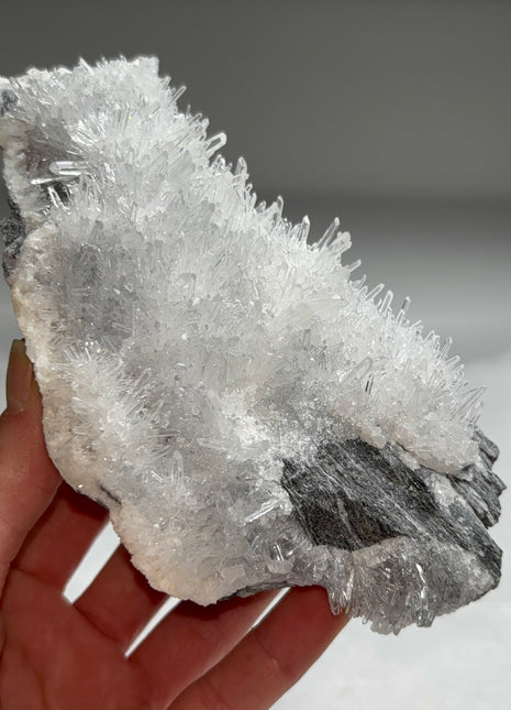 Rare ! Quartz from Val Bedretto, Switzerland