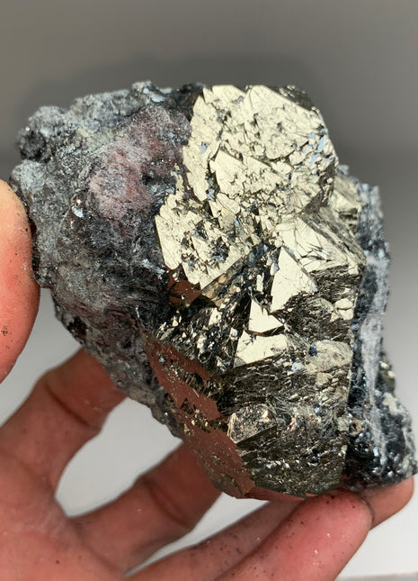 Recordkeepers ! Pyrite with Hematite from Elba, Italy - Collection # 123