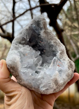 Gemmy Celestite Geode 💎