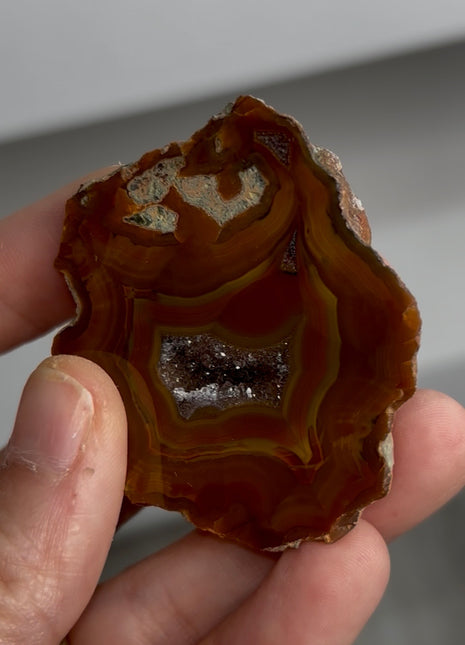 Condor Agate Geode from Argentina PM0879