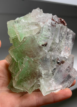 Rare Bicolor Transparent Green Halite - From Lubin mine, Poland