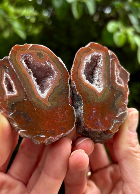 High Grade Black Sea Agate Geode Pair