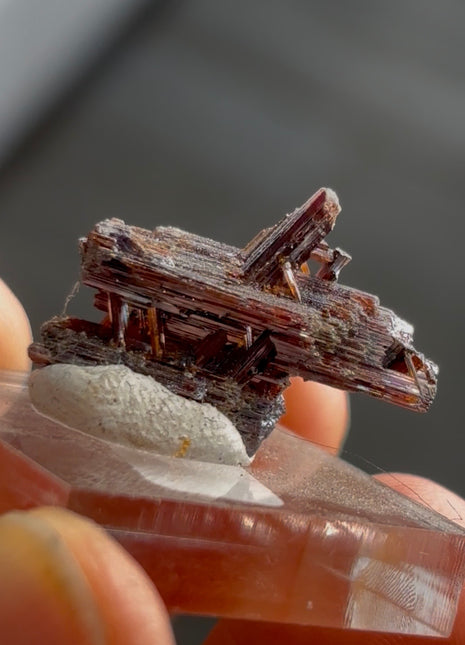 Red Rutile from Diamantina mine, 1990s find PM0858