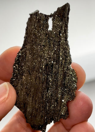 Rare ! Pyritized Petrified Wood PM0696