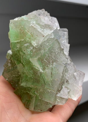 Rare Bicolor Transparent Green Halite - From Lubin mine, Poland