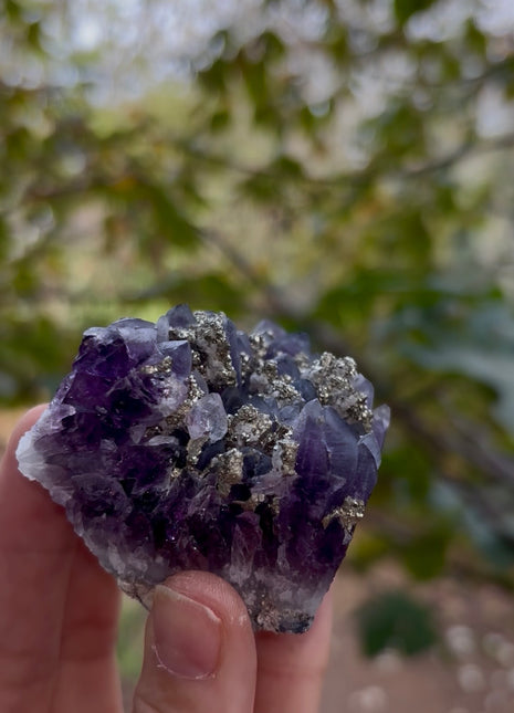 Wow ! Amethyst with Pyrite
