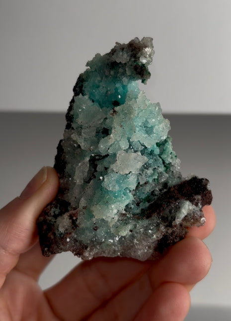 Caribbean Blue Aragonite