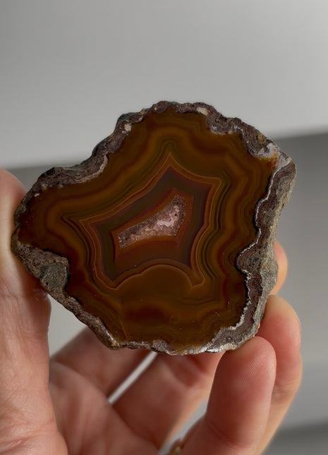 Condor Agate from Argentina