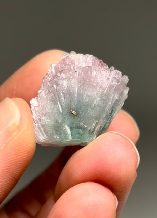 Pink Blue Bicolor Tourmaline Spray