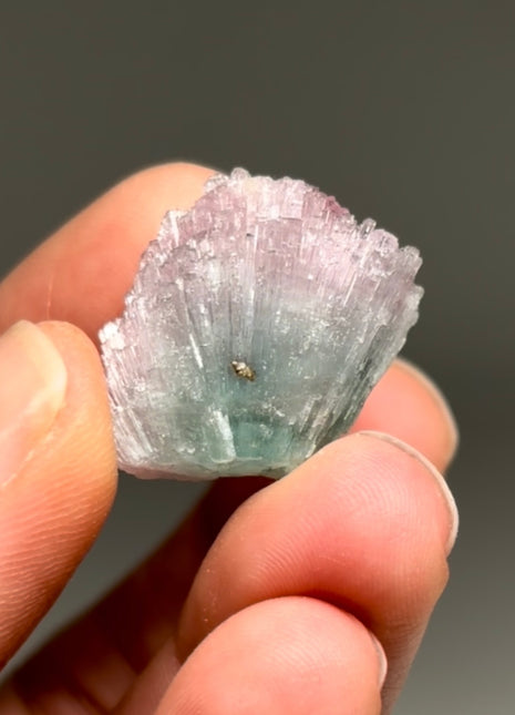 Pink Blue Bicolor Tourmaline Spray