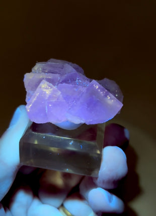 New Arrival ! Galaxy Fluorite