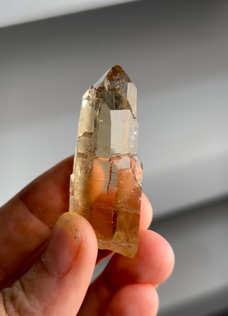 Jenipapo Cathedral Citrine PM1360