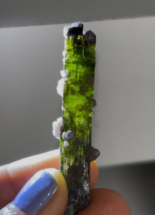 New ! Green Tourmaline with Lepidolite