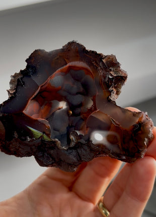 Silvery ! Red Fox Agate Geode from Argentina PM1545
