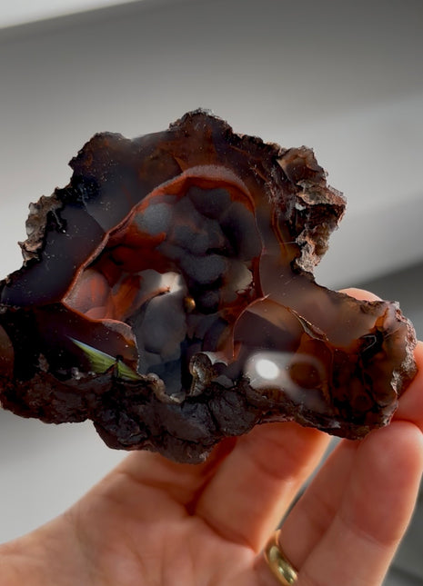 Silvery ! Red Fox Agate Geode from Argentina PM1545