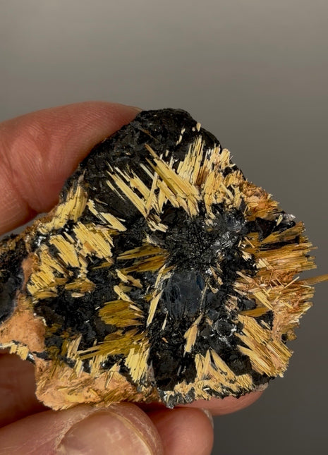 Wow !! Golden Rutile with Hematite