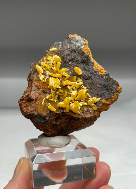 Uncommon ! Wulfenite from Pingtouling mine Collection # 393
