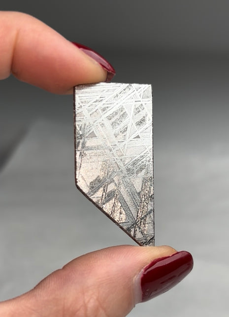 Muonionalusta Meteorite ☄️