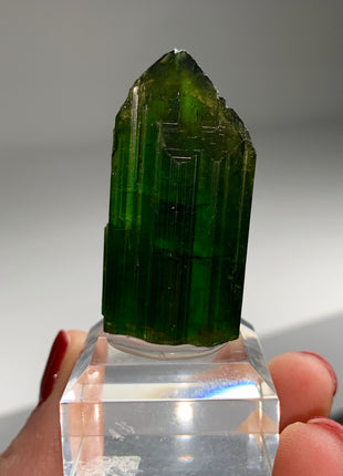 Green Tourmaline with Amazing Termination - Collection # 049 *