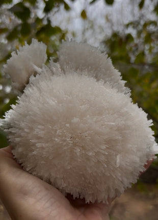 Amazing ! Scolecite Ball with Green Apophyllite # 680