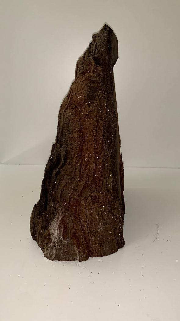 Stunning and Rare Permineralized Fossil Wood with Quartz - 7.1 kgs !! From Germany 🔥🔥