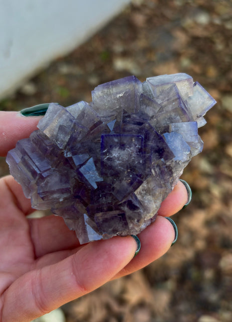 Color Change Fluorite from Weardale, England